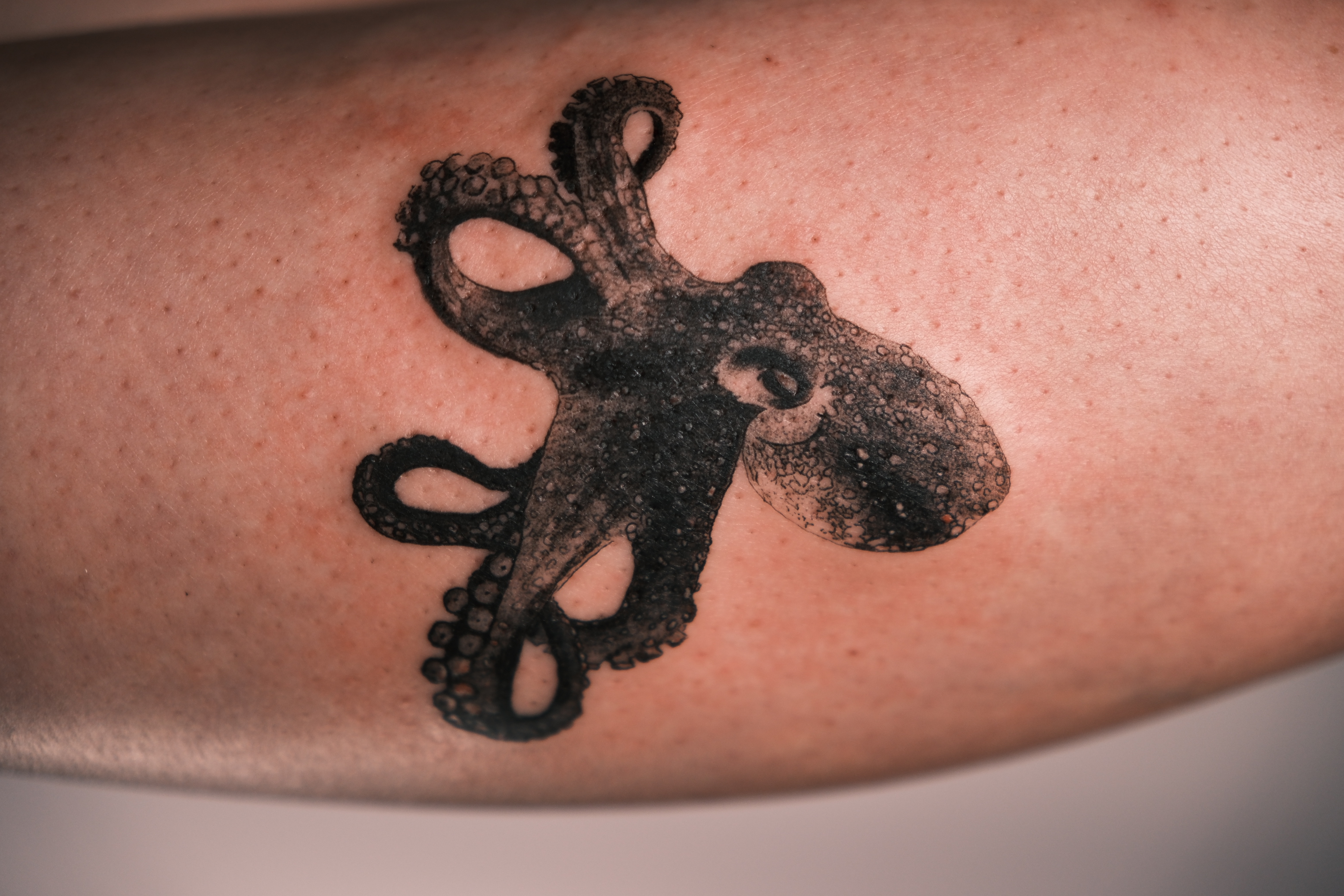 Tatouage micro-réalisme noir et gris, Couleur Gris Bordeaux